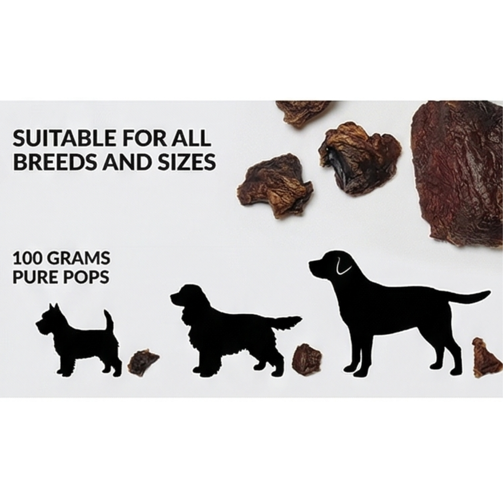 Ricky's Pet Kitchen Lung Pops Dehydrated Buffalo Lung Dog Training Treats, Single Ingredient, No Preservatives, 100g