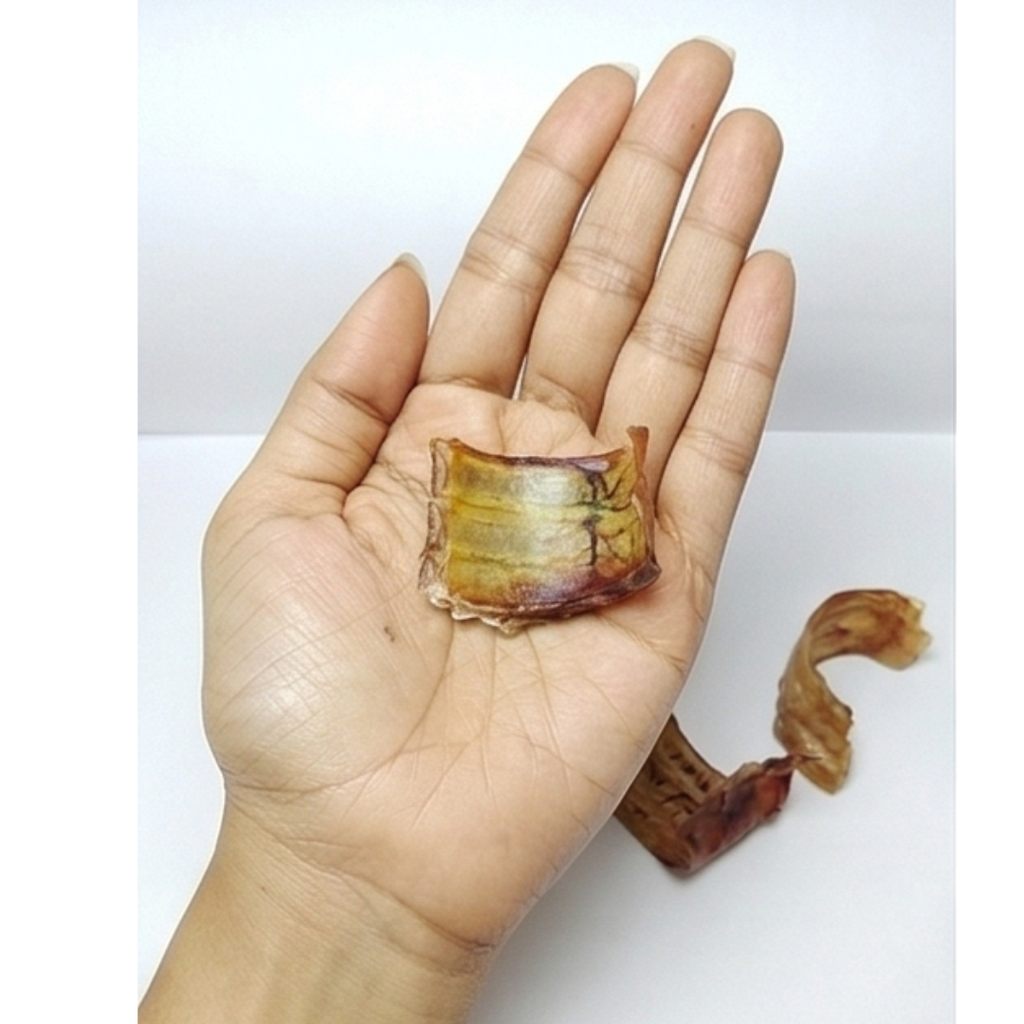 Ricky’s Pet Kitchen Buffalo Trachea Extra Small Dog Chews – Dehydrated, Single Ingredient, No Preservatives (Pack of 12) (Extra Small)