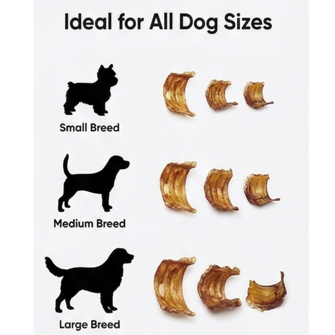 Ricky’s Pet Kitchen Buffalo Trachea Extra Small Dog Chews – Dehydrated, Single Ingredient, No Preservatives (Pack of 12) (Extra Small)
