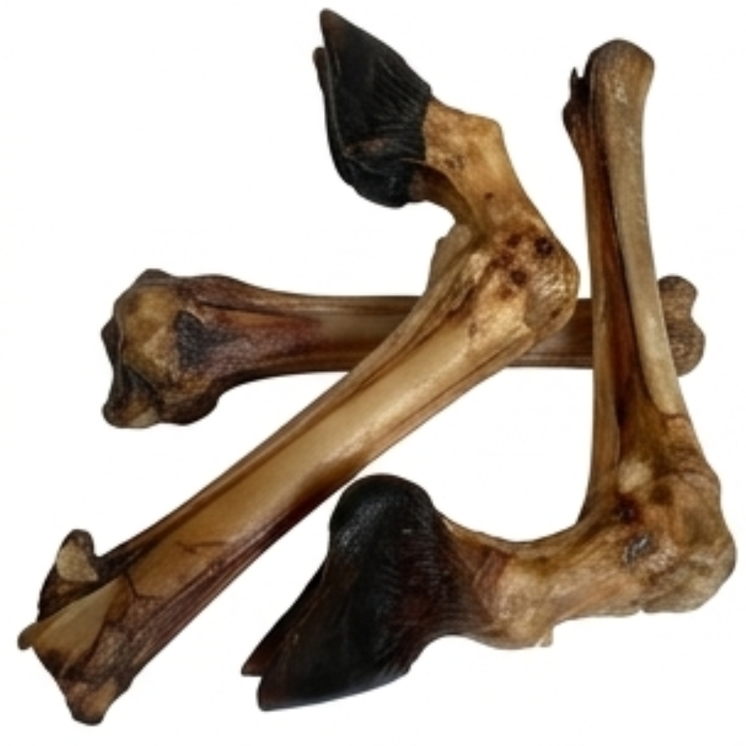 Ricky's Pet Kitchen PAYA Dehydrated Goat Trotter Dog Chews, Single Ingredient, No Preservatives, 2 Pieces