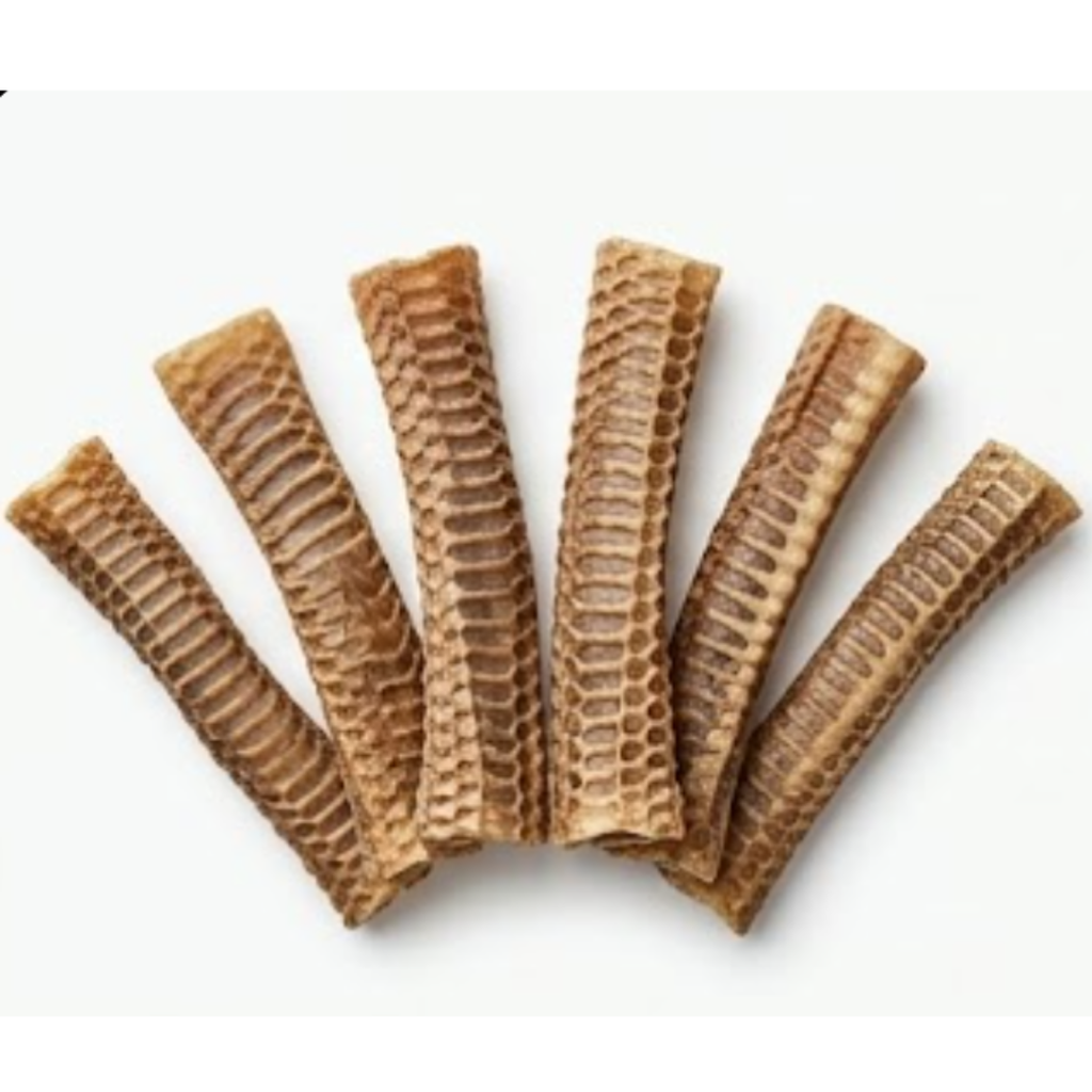 Ricky’s Pet Kitchen Buffalo Trachea Large Dog Chews – Dehydrated, Single Ingredient, No Preservatives (Pack of 6) (Large)