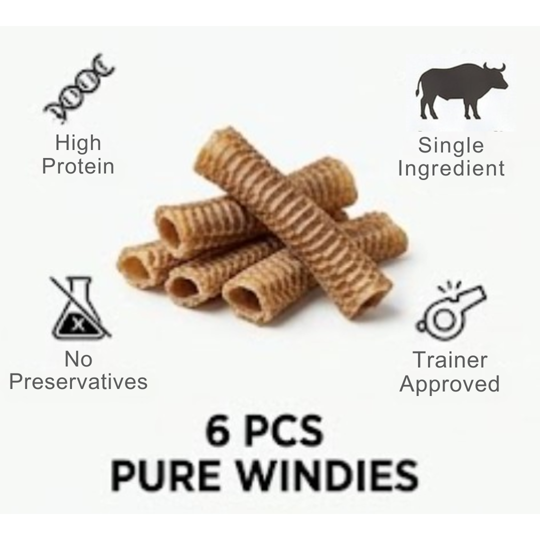 Ricky’s Pet Kitchen Buffalo Trachea Large Dog Chews – Dehydrated, Single Ingredient, No Preservatives (Pack of 6) (Large)