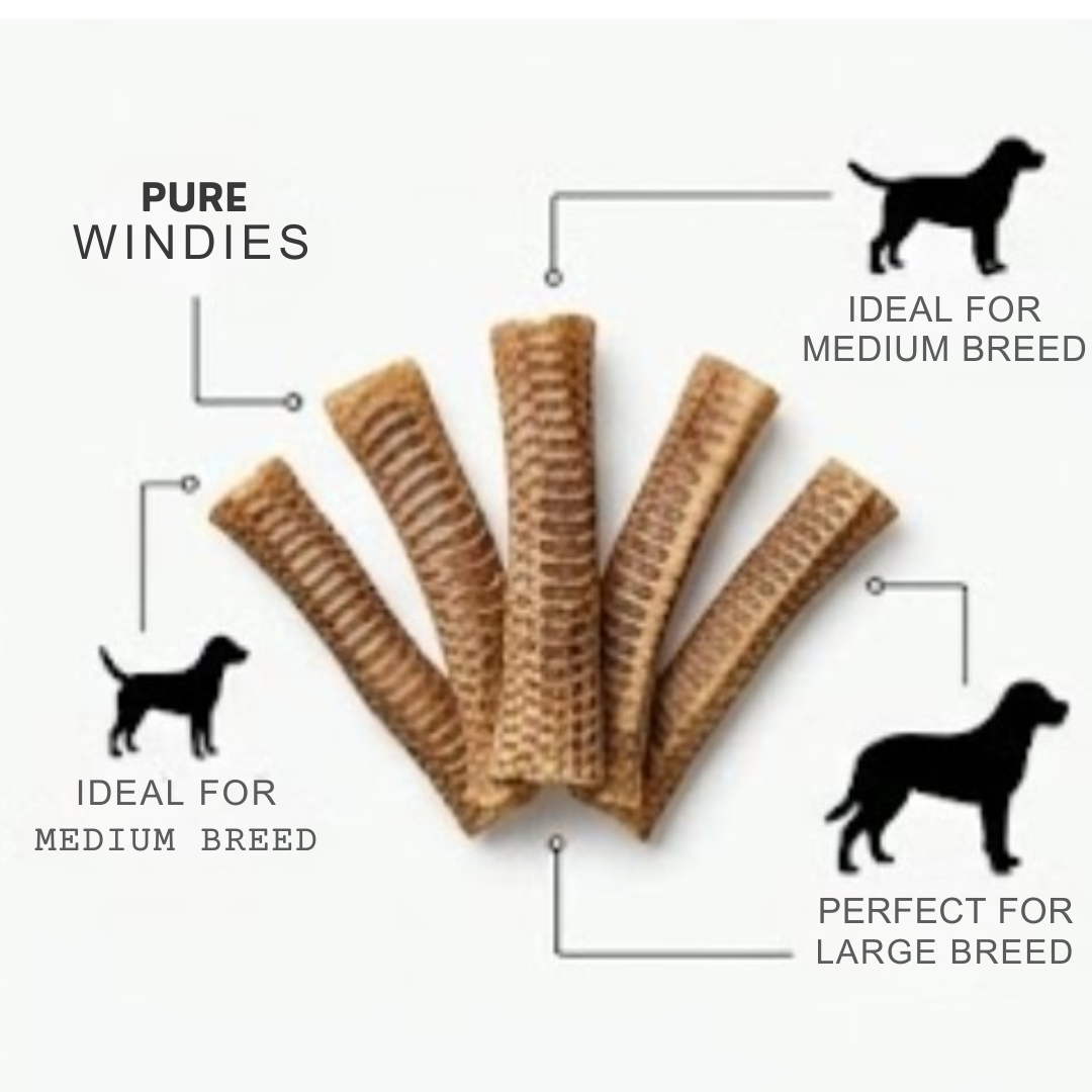 Ricky’s Pet Kitchen Buffalo Trachea Large Dog Chews – Dehydrated, Single Ingredient, No Preservatives (Pack of 6) (Large)
