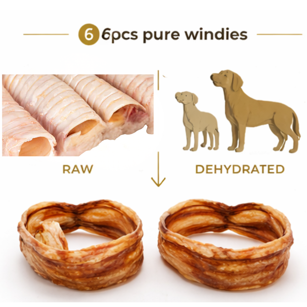 Ricky’s Pet Kitchen Buffalo Trachea Small Dog Chews – Dehydrated, Single Ingredient, No Preservatives (Pack of 6) (Small)