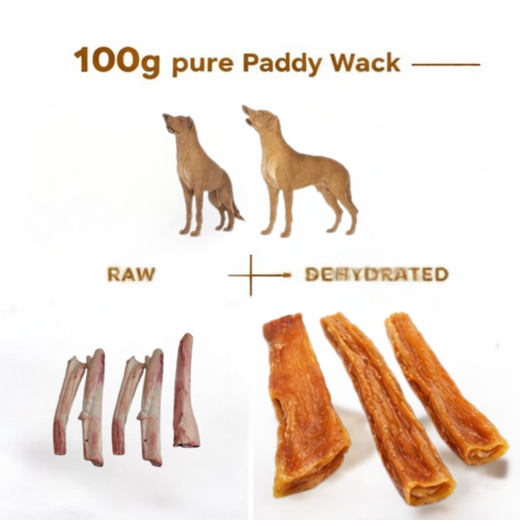 Ricky's Pet Kitchen Paddy Wack Dehydrated Buffalo Tendon Dog Chews, Single Ingredient, No Preservatives, 100g