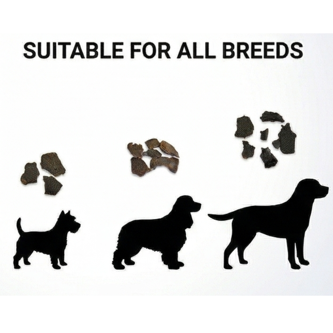 Ricky's Pet Kitchen Liver Bites Dehydrated Buffalo Liver Dog Training Treats, Single Ingredient, No Preservatives, 100g